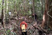 Tim Search and Rescue atau pencarian dan pertolongan (SAR) Gabungan melakukan pencarian terhadap satu orang yang dinyatakan hilang di Hutan Desa Danau Bambure, Kabupaten Barito Selatan (Barsel). (Foto: Dok Basarnas Palangka Raya)