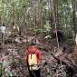 Tim Search and Rescue atau pencarian dan pertolongan (SAR) Gabungan melakukan pencarian terhadap satu orang yang dinyatakan hilang di Hutan Desa Danau Bambure, Kabupaten Barito Selatan (Barsel). (Foto: Dok Basarnas Palangka Raya)