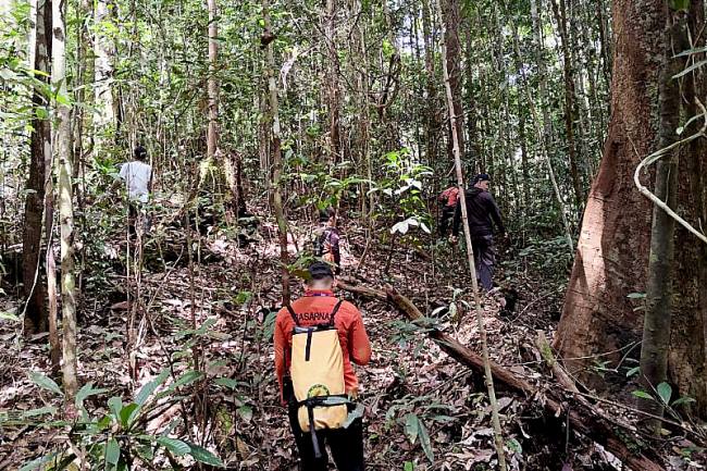 Tim Search and Rescue atau pencarian dan pertolongan (SAR) Gabungan melakukan pencarian terhadap satu orang yang dinyatakan hilang di Hutan Desa Danau Bambure, Kabupaten Barito Selatan (Barsel). (Foto: Dok Basarnas Palangka Raya)