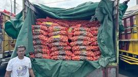 Bawang bombay ilegal dari Pontianak yang dikirim ke Semarang. (Foto: Kementan)