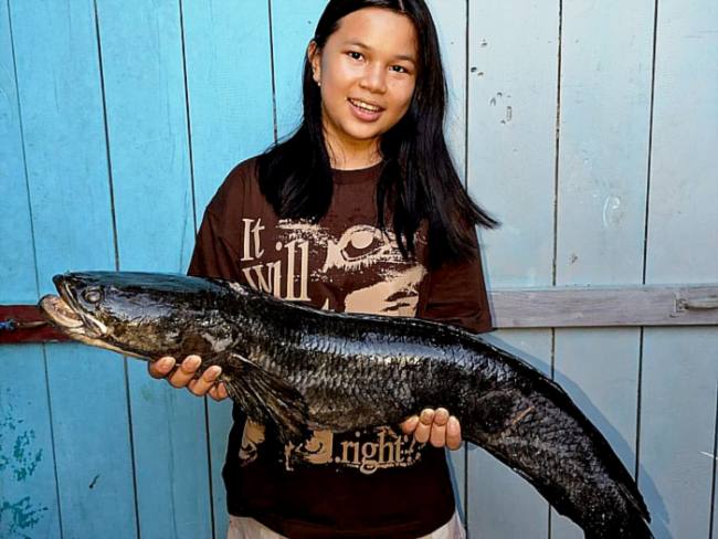 Semringah wajah anak Labo menggendong ikan gabus yang dibeli dari Pasar Inai, Malinau. (Foto: Dokumentasi Pribadi Labo)