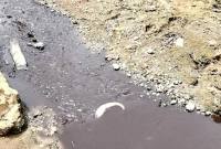 Sungai Tujung di Desa Tujung, Sembakung, Nunukan, Kaltara diduga tercemar, ada ikan mati akibat pencemaran limbah. (Foto: Istimewa)