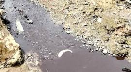 Sungai Tujung di Desa Tujung, Sembakung, Nunukan, Kaltara diduga tercemar, ada ikan mati akibat pencemaran limbah. (Foto: Istimewa)