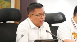 Deputi Bidang Ketersediaan dan Stabilisasi Pangan Badan Pangan Nasional (Bapanas) RI sekaligus Ketua Pelaksana Satgas Sapu Bersih (Saber) Pelanggaran Harga, Keamanan, dan Mutu Pangan, I Gusti Ketut Astawa. (Dok Satgas Saber Pangan)