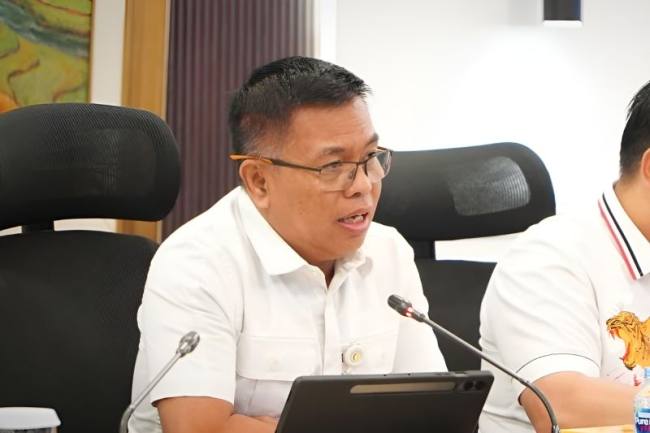 Deputi Bidang Ketersediaan dan Stabilisasi Pangan Badan Pangan Nasional (Bapanas) RI sekaligus Ketua Pelaksana Satgas Sapu Bersih (Saber) Pelanggaran Harga, Keamanan, dan Mutu Pangan, I Gusti Ketut Astawa. (Dok Satgas Saber Pangan)