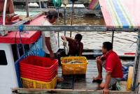 Aktivitas penangkapan ikan oleh nelayan Kalteng. (Foto: Dok Antara)