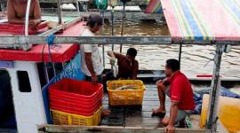Aktivitas penangkapan ikan oleh nelayan Kalteng. (Foto: Dok Antara)