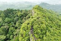 Salah satu kawasan hutan di sekitar wilayah IKN dijadikan lokasi tujuan wisata alam. (Dokumen Humas OIKN)

