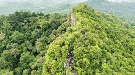 Salah satu kawasan hutan di sekitar wilayah IKN dijadikan lokasi tujuan wisata alam. (Dokumen Humas OIKN)
