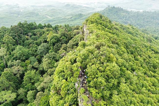 Salah satu kawasan hutan di sekitar wilayah IKN dijadikan lokasi tujuan wisata alam. (Dokumen Humas OIKN)
