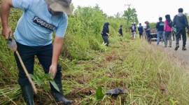 Jajaran Dishut Kalsel menanam bibit pohon mahoni di sepanjang pinggir jalan kawasan perkotaan di Cempaka, Banjarbaru, Kalimantan Selatan, Kamis (5/2/2026). (Foto: Dok Dishut Kalsel)