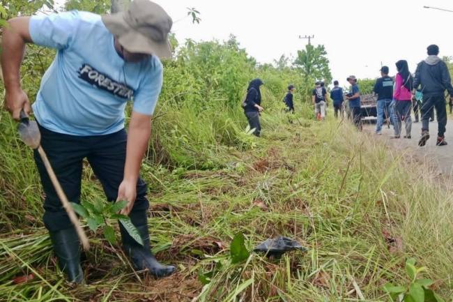 Jajaran Dishut Kalsel menanam bibit pohon mahoni di sepanjang pinggir jalan kawasan perkotaan di Cempaka, Banjarbaru, Kalimantan Selatan, Kamis (5/2/2026). (Foto: Dok Dishut Kalsel)