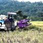 Sejumlah petani panen padi dengan menggunakan alat mesin pertanian combine harvester di Desa Panggung Baru, Kecamatan Pelaihari, Kabupaten Tanah Laut, Kalimantan Selatan, Rabu (13/8/2025). (Foto: Dok Antara)