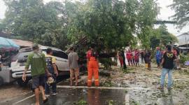 Pohon tumbang menimpa dua pengendara dan mobil parkir di bahu jalan depan Masjid Al Karomah. (Foto: Istimwa)