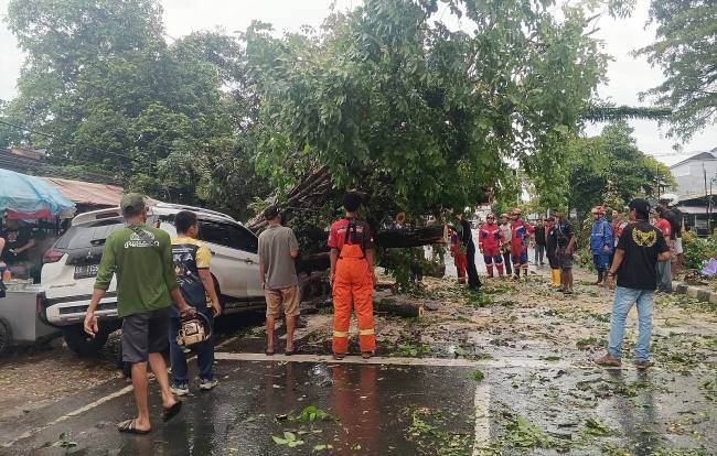 Pohon tumbang menimpa dua pengendara dan mobil parkir di bahu jalan depan Masjid Al Karomah. (Foto: Istimwa)
