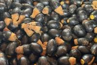 Dabai, buah hutan khas Kalbar. (Foto: Istimewa)