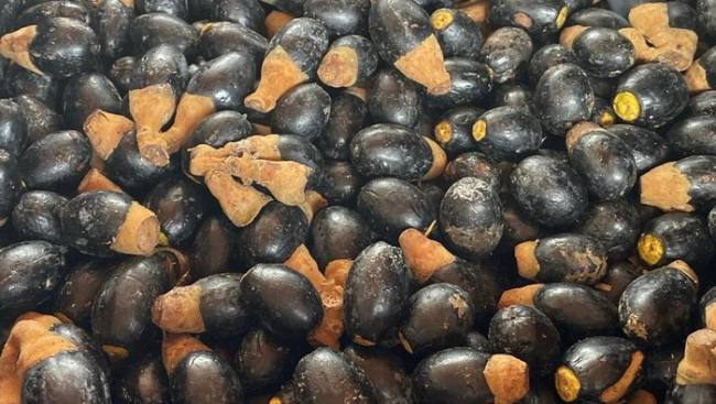 Dabai, buah hutan khas Kalbar. (Foto: Istimewa)