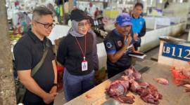 Dinas Perkebunan dan Peternakan Provinsi Kalimantan Selatan (Disbunnak) memastikan ketersediaan daging sapi, daging ayam ras, serta telur ayam ras di wilayah Kalsel dalam kondisi aman dengan harga yang stabil. (Dok Pemprov Kalsel)