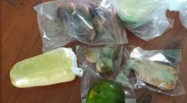 Penolakan MBG di SMAN 1 Rasau Jaya, Kubu Raya, Kalimantan Barat. (Foto: Istimewa)