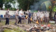 Badan Karantina Indonesia melalui Karantina Hewan, Ikan, dan Tumbuhan Kalimantan Barat (Karantina Kalbar) memusnahkan berbagai komoditas hewan, ikan, dan tumbuhan yang berpotensi membawa hama dan penyakit karantina. (ANTARA/Rendra Oxtora)