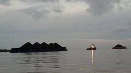 Ponton berisi gunungan batu bara di Muara Segah, delta Sungai Mahakam. Provinsi Kalimantan Timur, dan sepanjang awal 2026 para pengusaha batu bara sudah mendapatkan keuntungan berlipat (Antara/Novi Abdi)