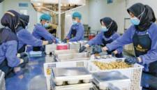 Salah satu foto program makan bergizi gratis yang ditampilkan dalam cover story Jurnal Agricultural & Rural Studies edisi volume 4 nomor 1. (Agricultural & Rural Studes)