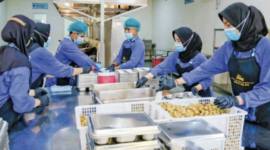 Salah satu foto program makan bergizi gratis yang ditampilkan dalam cover story Jurnal Agricultural & Rural Studies edisi volume 4 nomor 1. (Agricultural & Rural Studes)