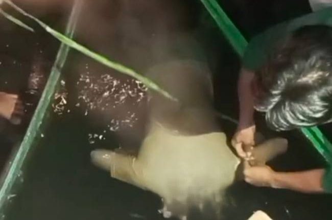 foto slider headline