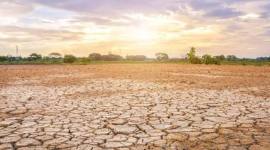 Ilustrasi musim kemarau. (Foto: Istimewa)