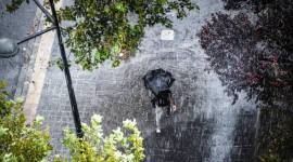 Foto ilustrasi. (Getty Images/fcafotodigital