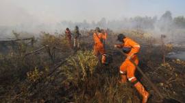 Sejumlah Petugas melakukan pemadaman api di lahan kering. (Foto: Istimewa)