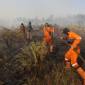 Sejumlah Petugas melakukan pemadaman api di lahan kering. (Foto: Istimewa)