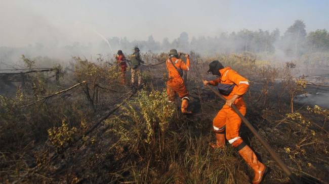 Sejumlah Petugas melakukan pemadaman api di lahan kering. (Foto: Istimewa)