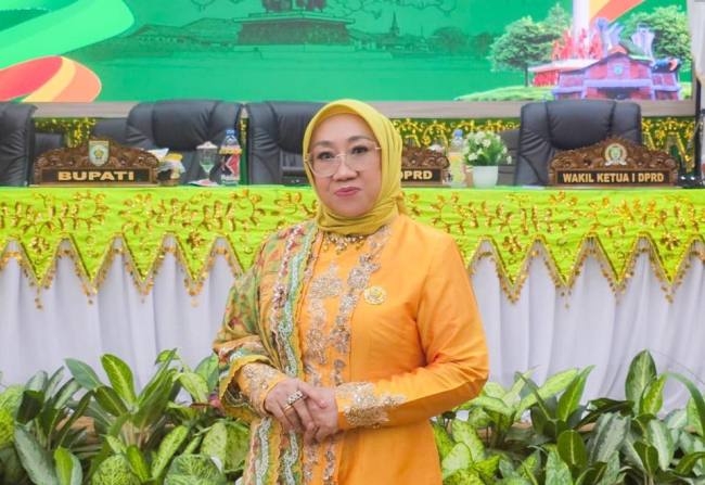 Anggota DPRD Balangan, Nur Fariani