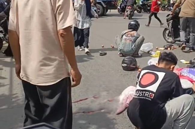 foto slider headline