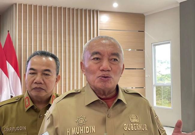H Muhidin, Gubernur Kalsel. (detikKalimantan/Khairun Nisa)