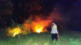 Foto ilustrasi - Seorang Babinsa sedang persiapan melakukan pemadaman karhutla di Petung, Kabupaten Penajam Paser Utara, Kalimantan Timur. (Foto: Dok BPBD Kabupaten PPU)