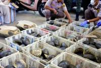 Petugas karantina saat mengamankan kura-kura dilindungi yang disamarkan dalam bentuk paket di Pelabuhan Trisakti, Banjarmasin, Kalimantan Selatan. (Karantina Kalsel)