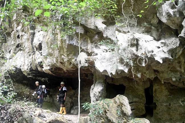 Pengunjung menelusuri Gua Beloyot di Kampung Merabu, Kecamatan Kelay, Kabupaten Berau, Kalimantan Timur. (Foto: Antara/M 

Risyal Hidayat)