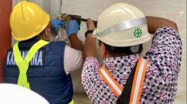 Petugas Karantina Kalsel saat memeriksa biomassa asal Asutralia saat tiba di Pelabuhan Trisakti, Banjarmasin, Kalimantan Selatan. (Foto: Karantina Kalsel)