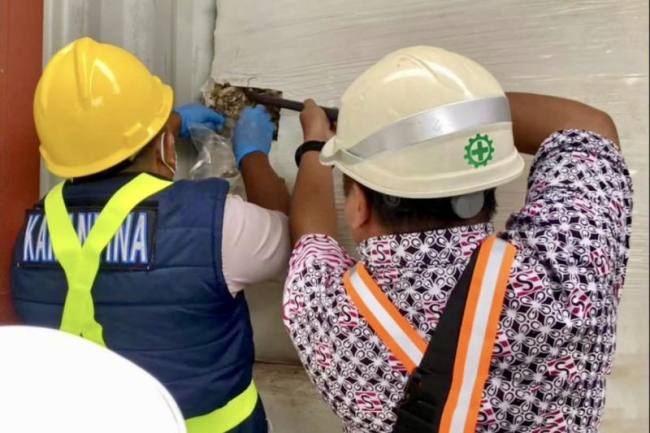 Petugas Karantina Kalsel saat memeriksa biomassa asal Asutralia saat tiba di Pelabuhan Trisakti, Banjarmasin, Kalimantan Selatan. (Foto: Karantina Kalsel)