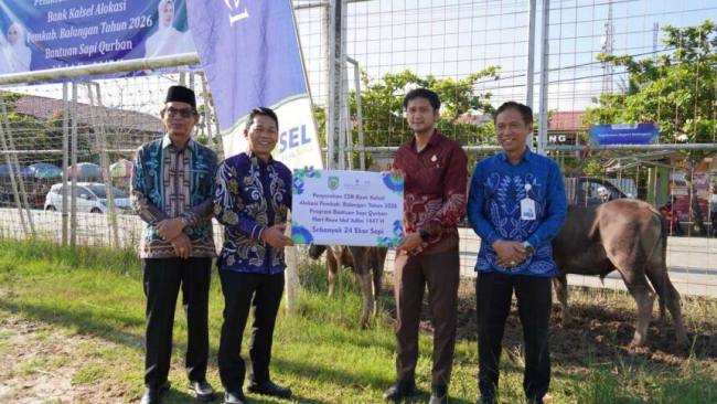 Menyalurkan 24 ekor sapi kurban bantuan Corporate Social Responsibility (CSR) dari Bank Kalsel Cabang Paringin di Lapangan Martasura, Paringin,  Kamis (21/5/2026). (SuarIndonesia/Adv)