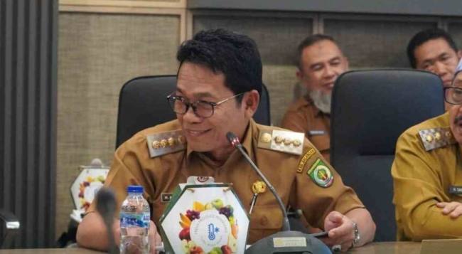 Bupati Balangan, Abdul Hadi