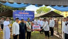Penyerahan hewan kurban dari Kapolda oleh Direktur Intelkam, Kombes Pol Priyanto Priyo Hutomo, SIK, MH. kepada Ketua Badko HMI Kalsel, Abdi Aswadi di Mako Sat Brimob Polda Kalsel. (SuarIndonesia/Ist)