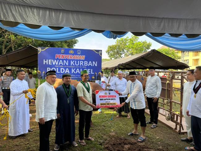 Penyerahan hewan kurban dari Kapolda oleh Direktur Intelkam, Kombes Pol Priyanto Priyo Hutomo, SIK, MH. kepada Ketua Badko HMI Kalsel, Abdi Aswadi di Mako Sat Brimob Polda Kalsel. (SuarIndonesia/Ist)