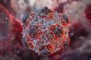 
Virus Hantavirus. (Science Photo Library/Ruslanas Baranauskas)