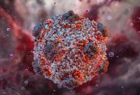 
Virus Hantavirus. (Science Photo Library/Ruslanas Baranauskas)
