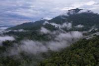 Rangkaian Pegunungan Muller yang di dalamnya terdapat Gunung Liangpran. (Foto: WWF-Indonesia)