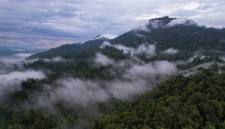 Rangkaian Pegunungan Muller yang di dalamnya terdapat Gunung Liangpran. (Foto: WWF-Indonesia)