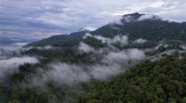 Rangkaian Pegunungan Muller yang di dalamnya terdapat Gunung Liangpran. (Foto: WWF-Indonesia)